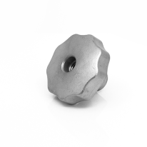 Sterknop RVS massief met doorlopend schroefdraad 